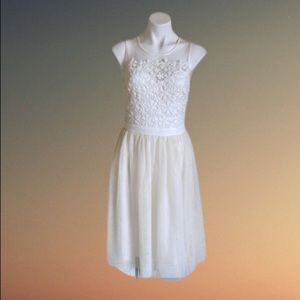 Embroidered Lace Bodice Dress**